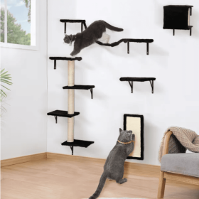 5 Pcs Wall Mounted Cat Climber Set  Floating Cat Shelves And Perches  Cat Activity Tree With Scratching Posts  Modern Cat Furniture (Color: Black)
